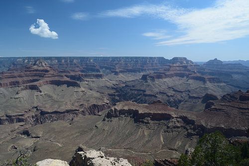 Grand Canyon California
