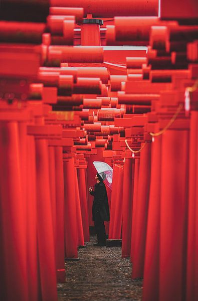 Infinite Gate by Murakyami Daichi