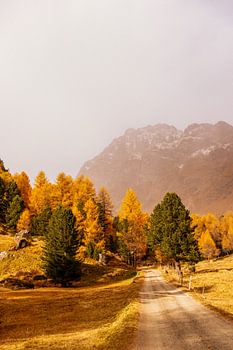 Der goldene Weg in die Berge