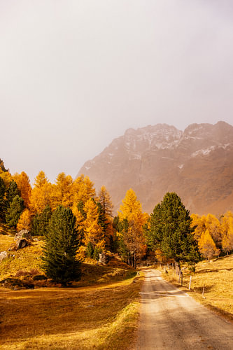 Der goldene Weg in die Berge