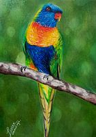 Bird Drawing
