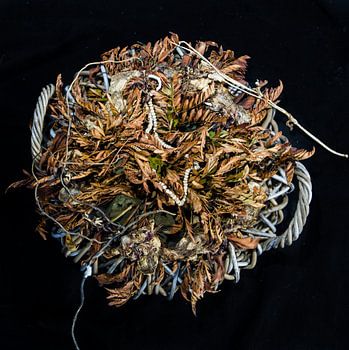 Totems van Vrede na de terreur.