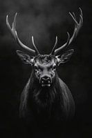Cerf