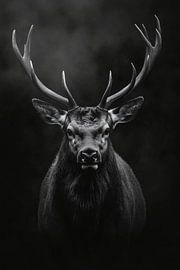 Hirsch von Poster Art Shop