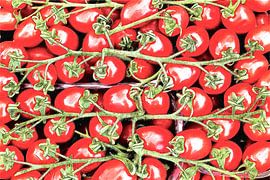 Tomatoes 3.0 ART by Ingo Laue