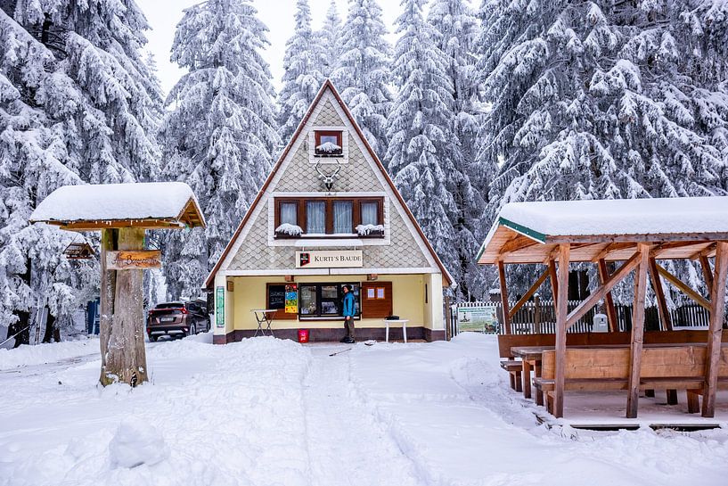 Cross-country skiing in the snowy Thuringian Forest near Floh-Seligenthal - Thuringia - Germany by Oliver Hlavaty