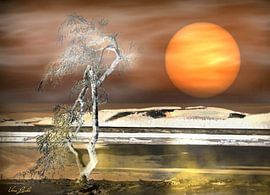 Dreamland sur Vera Laake