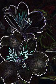 Bloemen  by Monique Brouwer