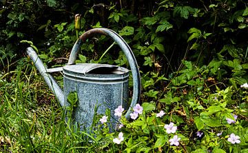 Rustikales Stillleben einer alten Zinkgießkanne in einem Garten mit rosa Blumen von John Brugman