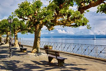 At Lake Constance by Reiner Würz / RWFotoArt