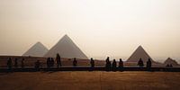 Pyramides - Égypte - Gizeh - 3
