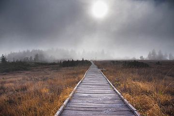 Nebeliger Herbstmorgen im Schwarzwald von Tanja Voigt