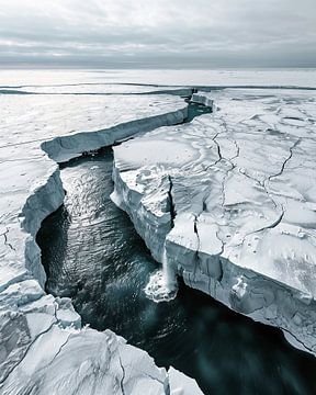 Zee van schol in de Noordelijke IJszee van fernlichtsicht