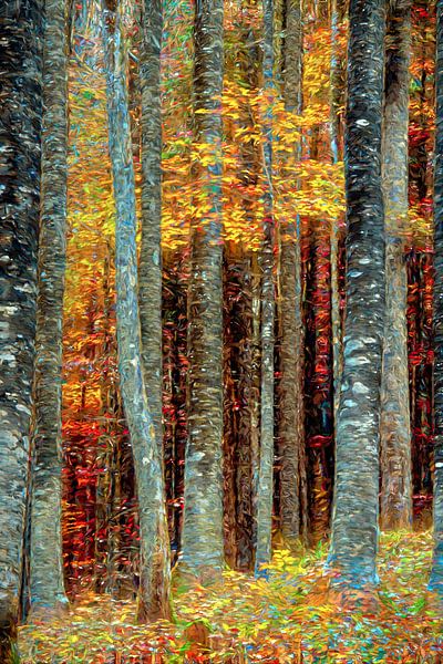 Impression de forêt de bouleaux par Lars van de Goor