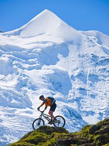 Mountainbike Silberhorn van Menno Boermans