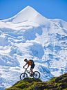 Mountain Bike Silberhorn by Menno Boermans thumbnail