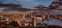 Rotterdamse skyline van Harmen Goedhart thumbnail