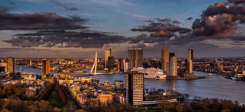 Rotterdamse skyline