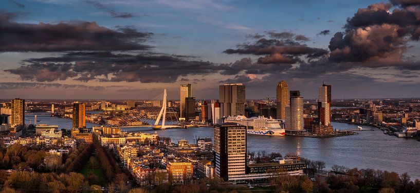 Rotterdamse skyline van Harmen Goedhart