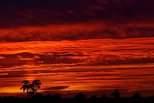 Zonsondergang Nationaal park de Hoge veluwe