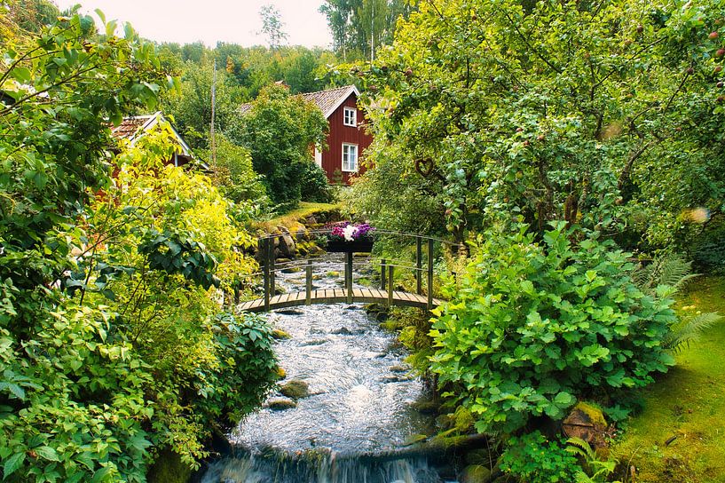 Fruit trees by a stream with a small bridge in front of a red wooden house in Sweden. by Martin Köbsch