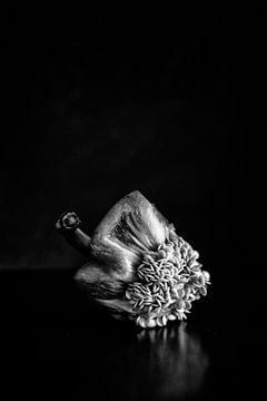 Die Reste: Paprika von André Blom Fotografie Utrecht