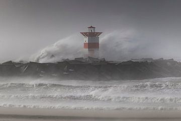 Sturm an der Küste von Scheveningen