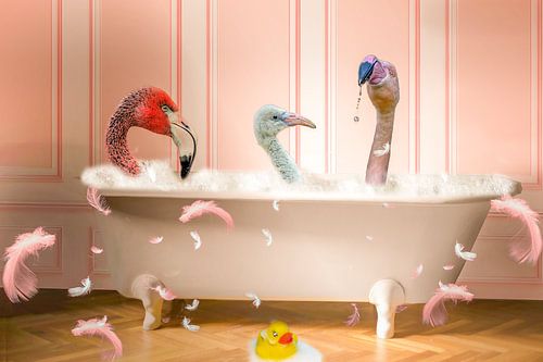 Niedliche Flamingos in der Badewanne
