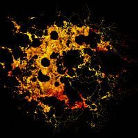 Obskurer Abstraktionismus