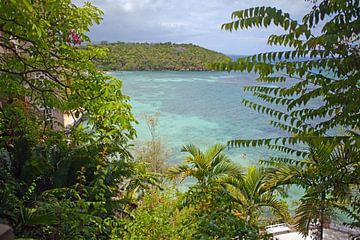 Kustlandschap bij Ocho Rios (Jamaica)