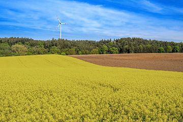 Renewable energy with wind power by ManfredFotos