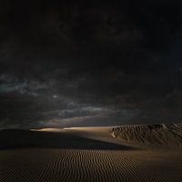 Dune scenery - Dutch masters