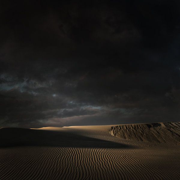 Dünenlandschaft - Niederländische Meister von Keesnan Dogger Fotografie