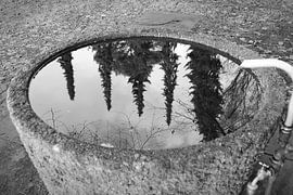 Reflection by Marc Pohlmann