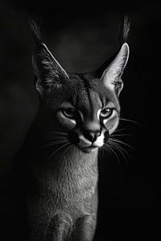 Lynx by Poster Art Shop