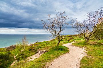 Landscape on the Baltic Sea coast van Rico Ködder