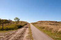 Midslander Longway, Terschelling