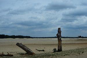 Eine Sandverwehung auf der Veluwe