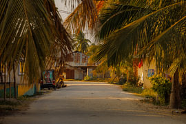 Zanzibar – là où se mêlent plages tropicales, eaux turquoise et culture africaine. sur Patrick Fotografeert
