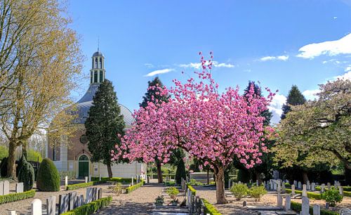 Koepelkerk Arkel in het voorjaar