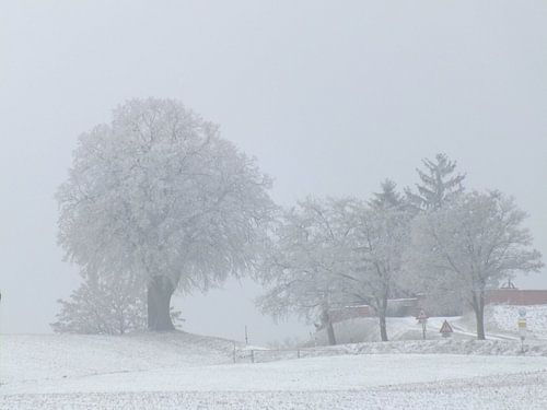Winterlandschaft