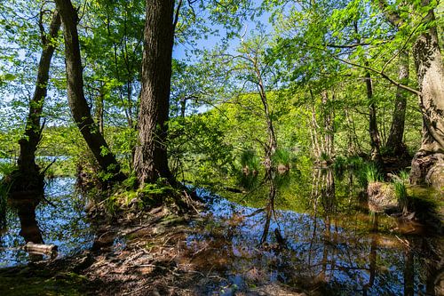 Herthameer, Nationaal Park Jasmund, Eiland Rügen