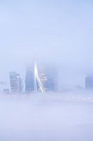 Rotterdam im Nebel