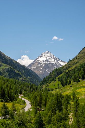 Venter tal landschap in de Ötztal regio van Tiol