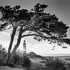 Leuchtturm auf Hiddensee im Sonnenaufgang. Schwarzweiss Bild. von Manfred Voss, Schwarz-weiss Fotografie