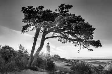 Vuurtoren op Hiddensee in de zonsopgang. Zwart-wit beeld. van Manfred Voss, Schwarz-weiss Fotografie