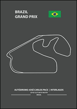 BRAZIL GRAND PRIX | Formula 1 van Niels Jaeqx
