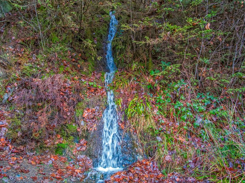 Baby Waterfall in Bayehon Malmedy by Nature Life Ambience