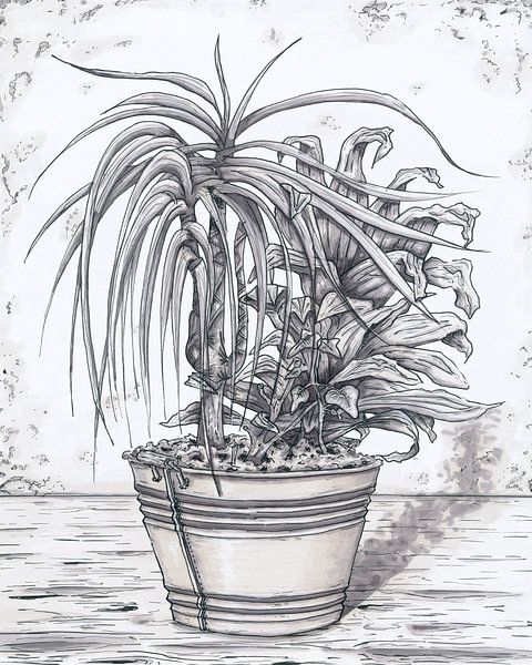 Plant marker drawing by Simon van Kessel