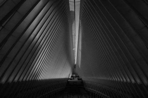 Oculus - Noir et blanc sur Jan-Hessel Boermans